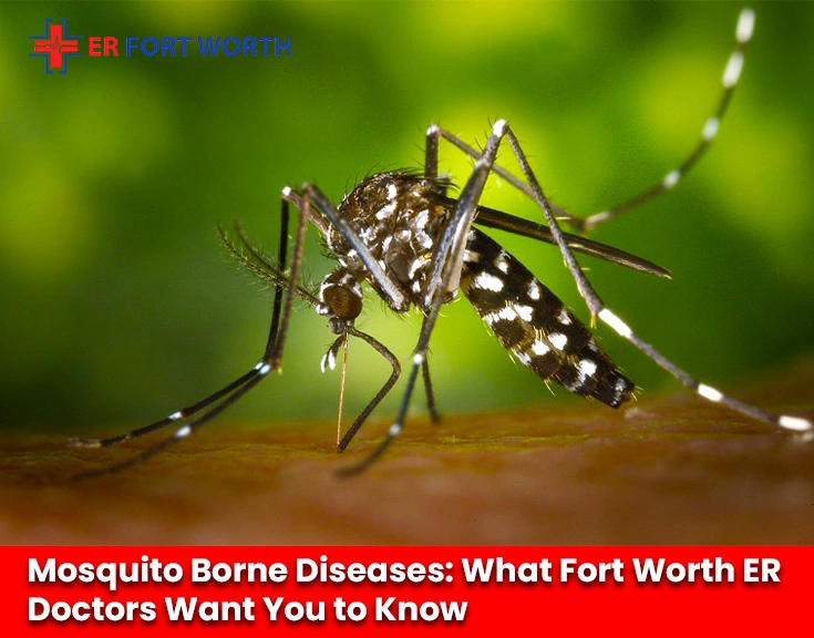 Mosquito Borne Diseases: What Fort Worth ER Doctors Want You to Know
