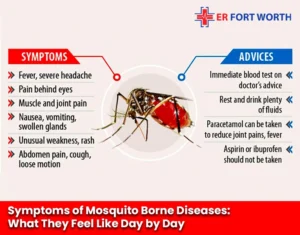 Symptoms of Mosquito Borne Diseases What They Feel Like Day by Day