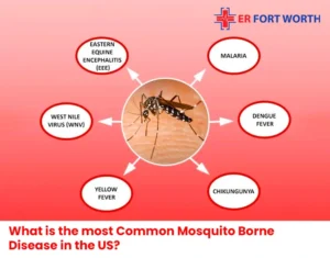 What is the most Common Mosquito Borne Disease in the US