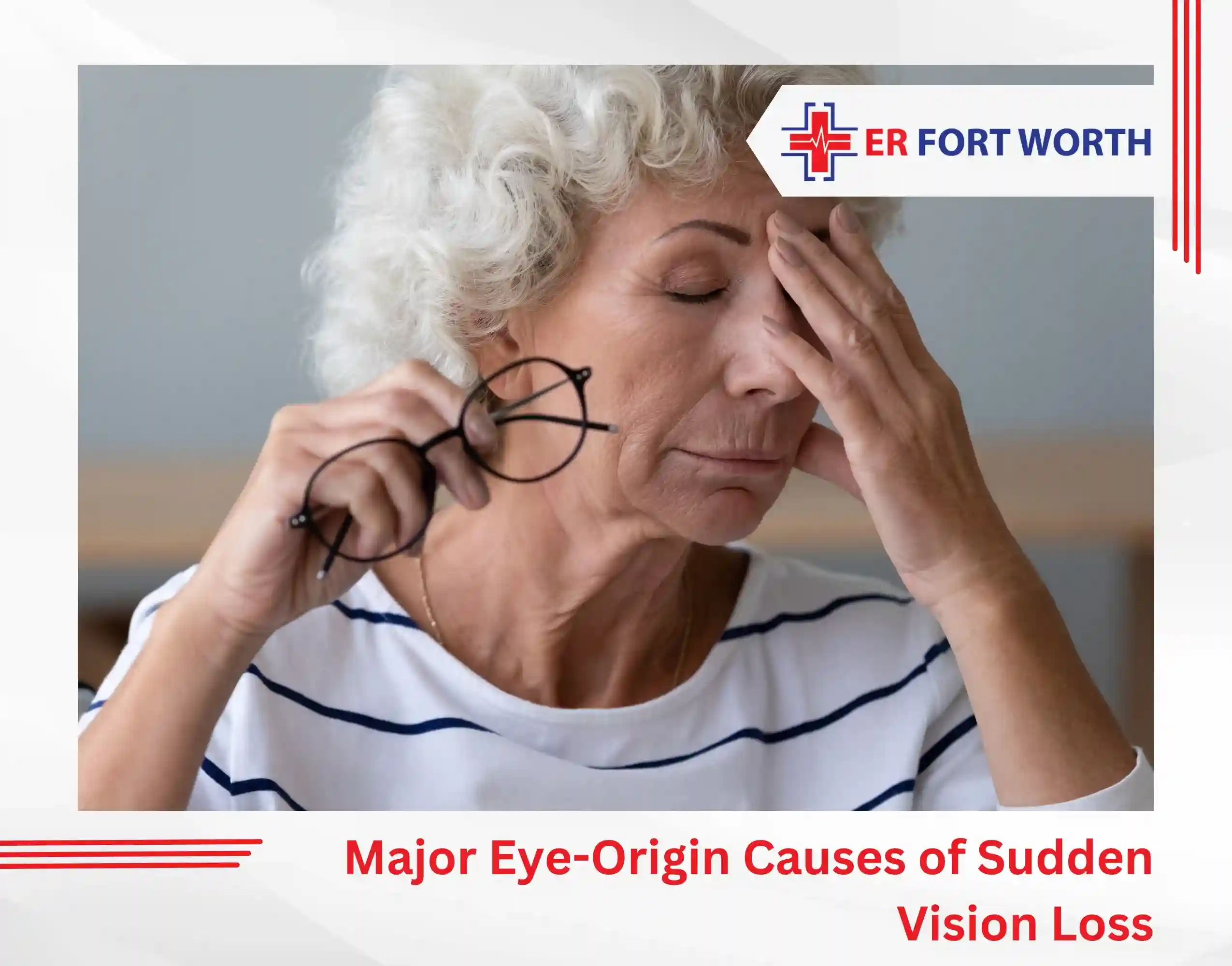 Major Eye-Origin Causes of Sudden Vision Loss