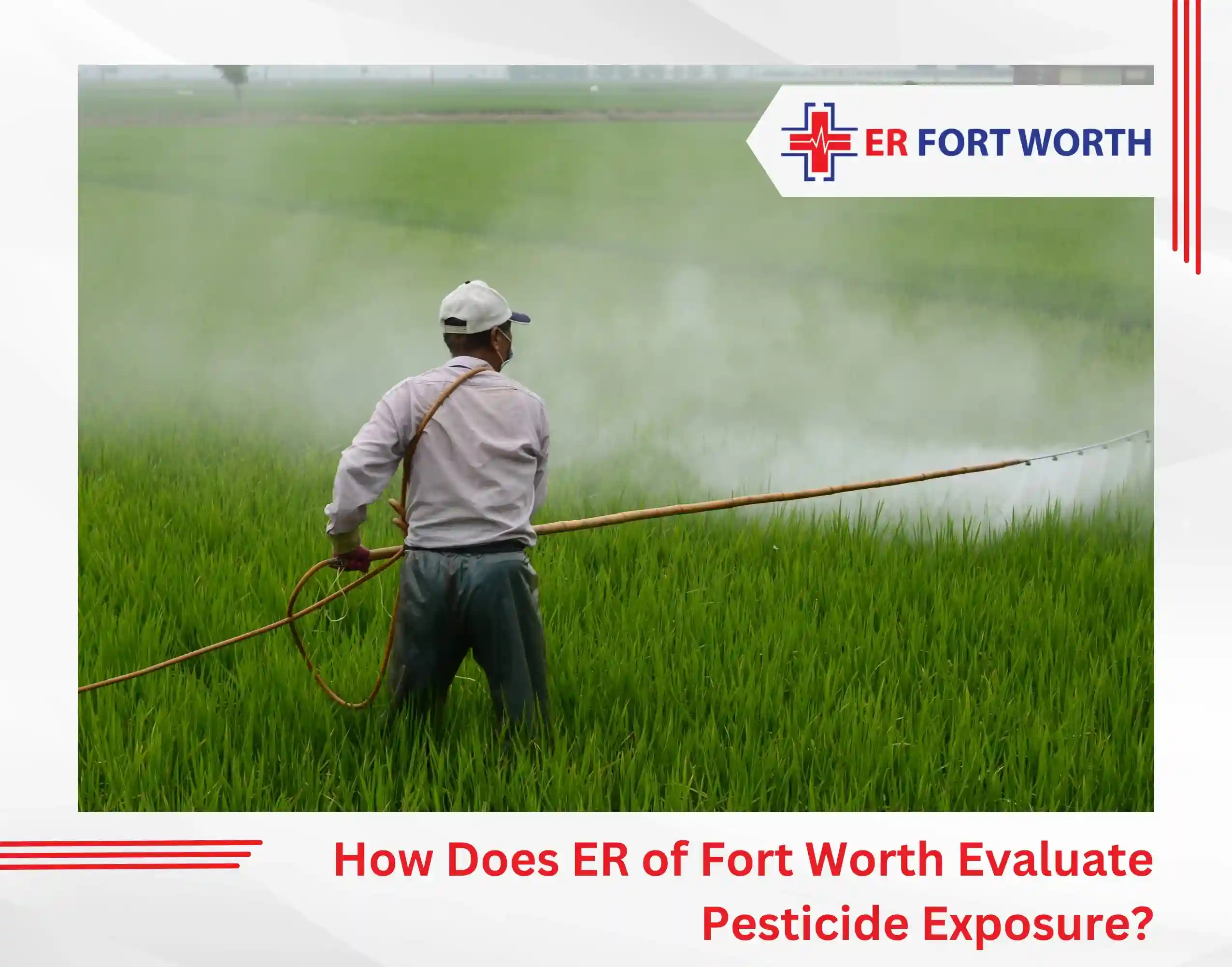 How Does ER of Fort Worth Evaluate Pesticide Exposure