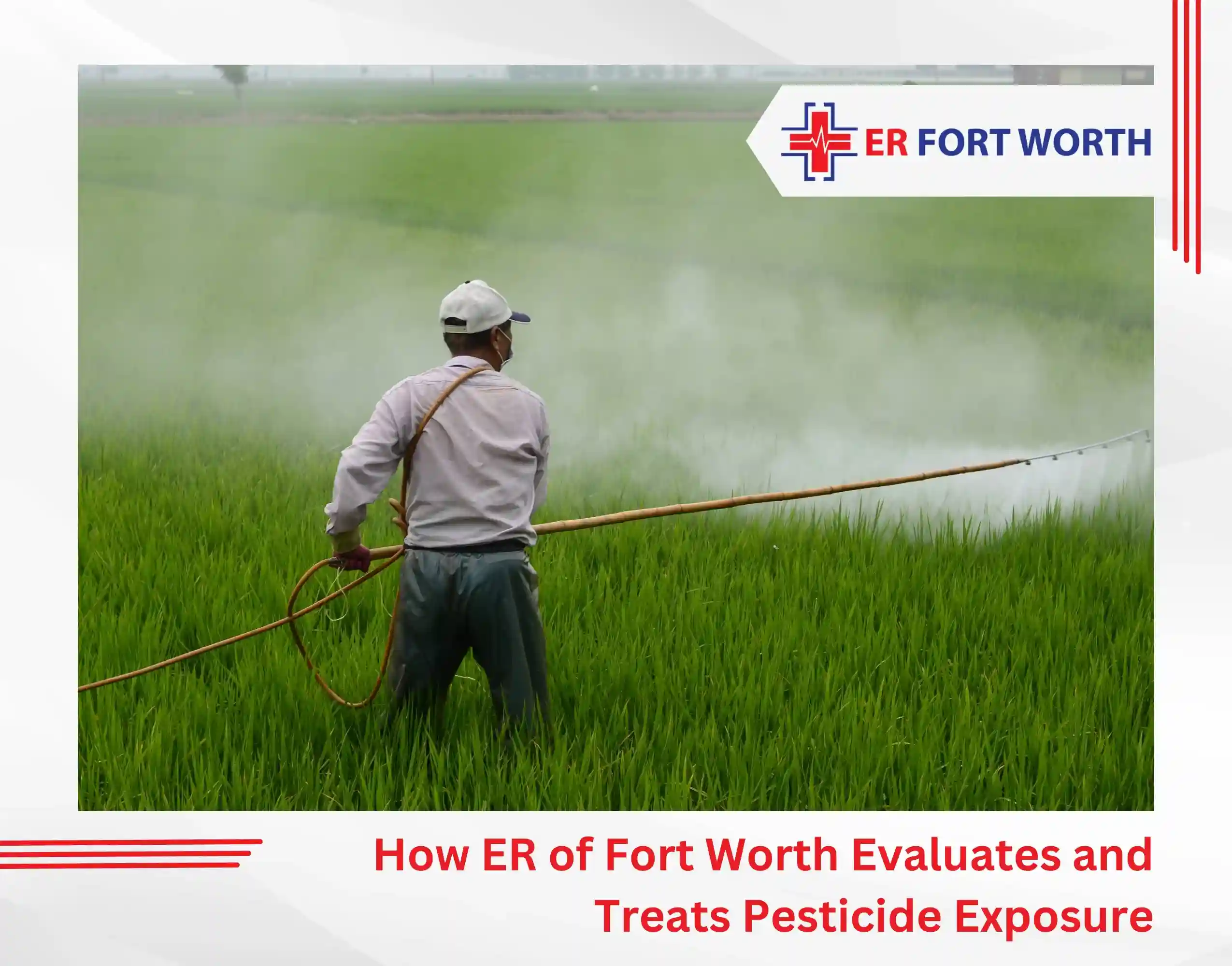 How ER of Fort Worth Evaluates and Treats Pesticide Exposure