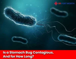 Is a Stomach Bug Contagious, And for How Long