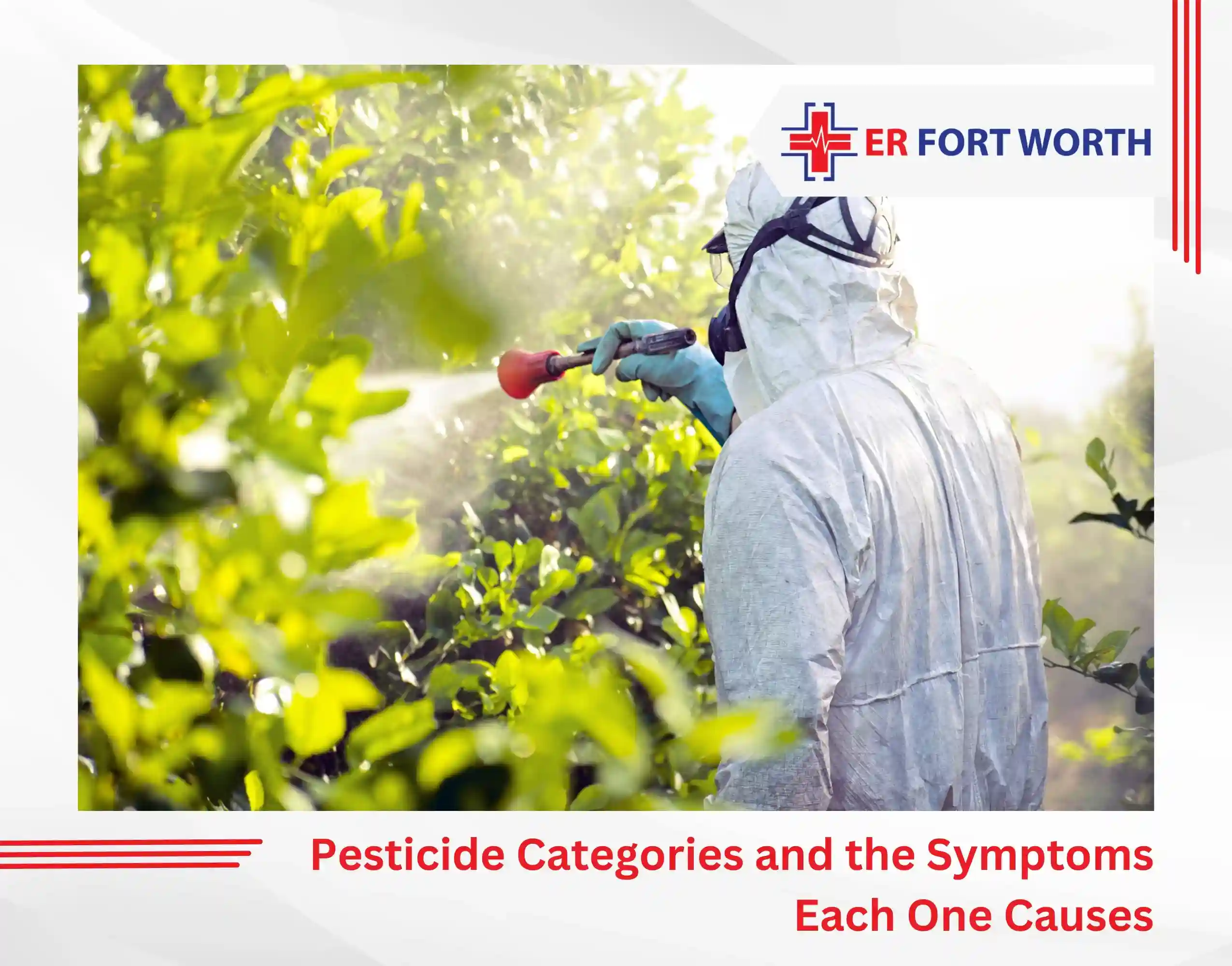 Pesticide Categories and the Symptoms Each One Causes