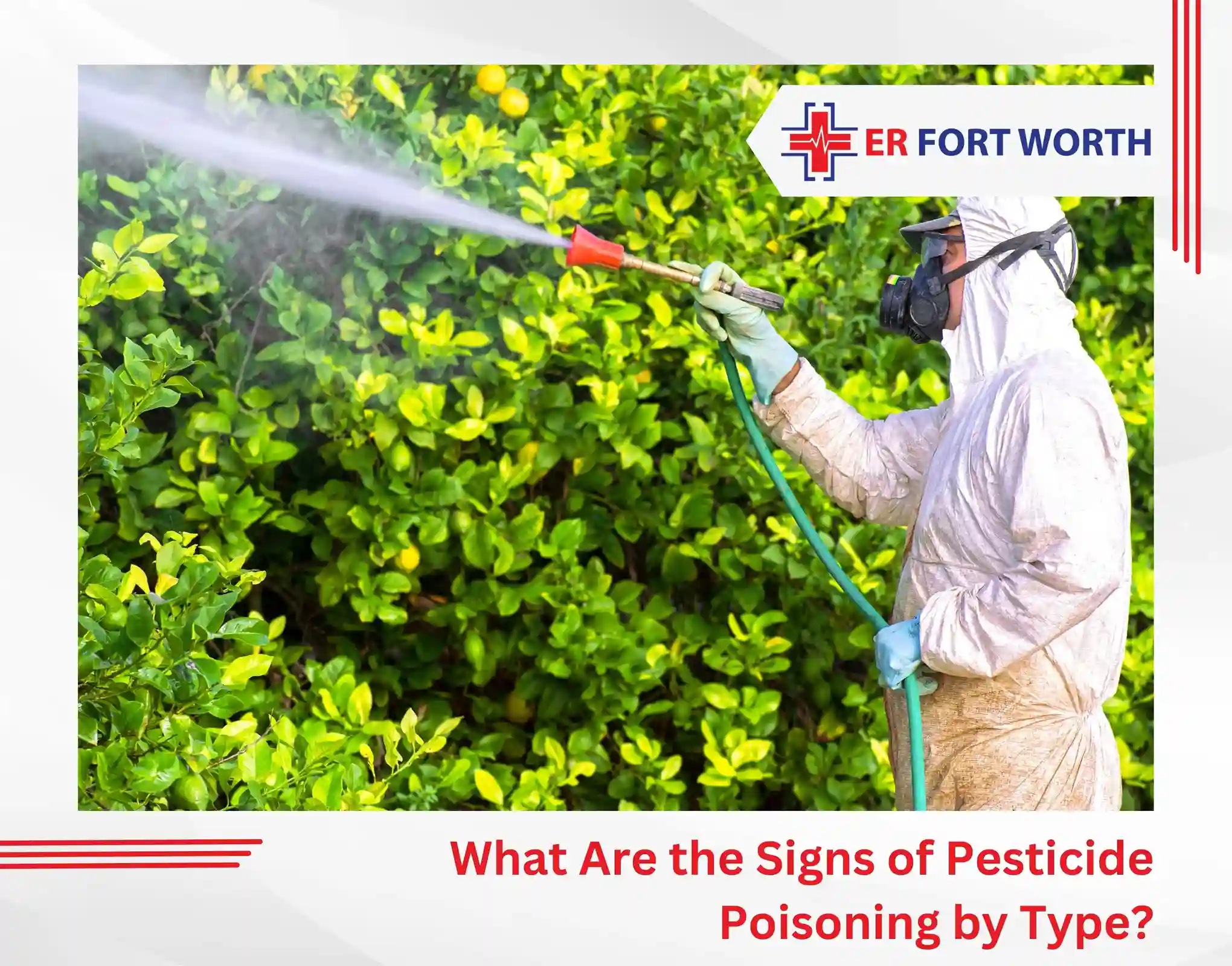 What Are the Signs of Pesticide Poisoning by Type