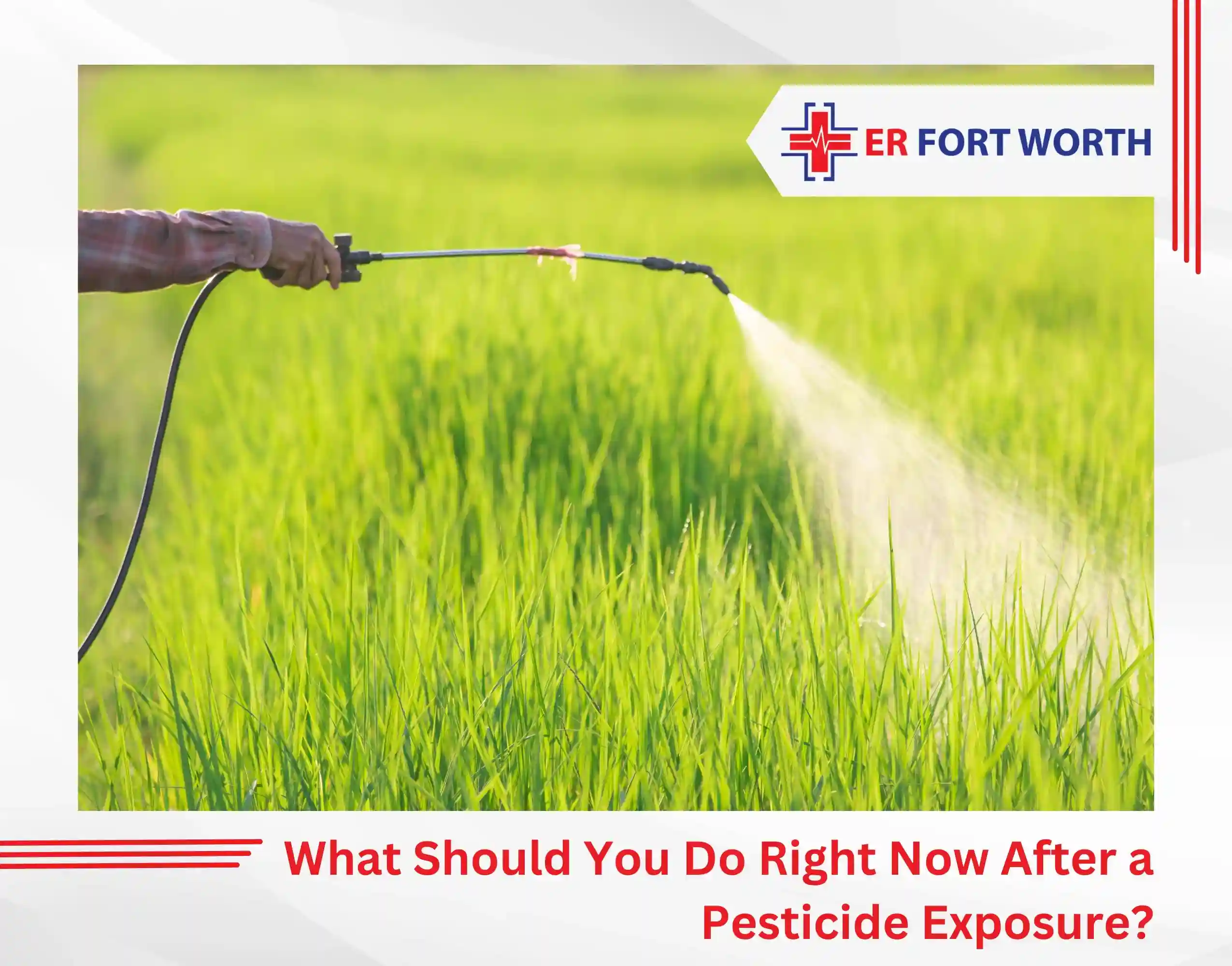 What Should You Do Right Now After a Pesticide Exposure