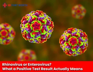 Rhinovirus or Enterovirus What a Positive Test Result Actually Means